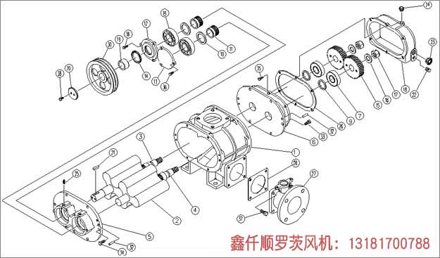 三葉羅茨鼓幸福宝APP污版下载安裝示意圖